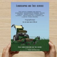 Landscaping and Tree service cheapest in town (All delaware)