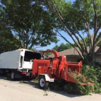 TREE SERVICE  - TREE TRIMMING - TREE REMOVAL - PRUNING ( DFW TREE CARE - DALLAS,FORT WORTH FREE QUOTE )