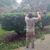 Tree Services. Landscaping( Junk Removal )(cleanups)(Demolition (Charlotte NC /surrounding areas(7042937058))