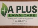 Professional Lawn Treatment, Turf Management (Athens Madison)