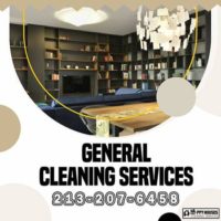 HOUSE CLEANING SERVICE - SUPPLIES INCLUDED - MAID / CLEANER