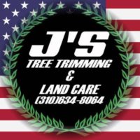 Tree trimming & Removal + Landscaping
