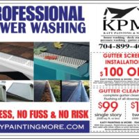 HOUSE WASH , GUTTER CLEANING , PRESSURE WASHING, DECK & FENCE STAINING (PRESSURE WASHER)