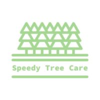 Professional Tree Removal & Trimming Service (Huntersville, Charlotte, Gastonia, etc)