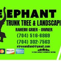 💥💥💥💥💥Elephant Trunk Tree and Landscaping Service (Charlotte NC and surrounding counties )