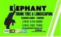 💥💥💥💥💥Elephant Trunk Tree and Landscaping Service (Charlotte NC and surrounding counties )