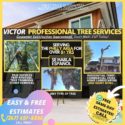🏡🌴✅Home TREE SERVICES- [REMOVAL/TRIM/LANDSCAPING]✅🌴🏡 (FREE ESTIMATES)